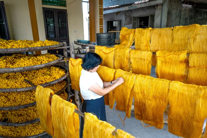 Làng Lụa Hội An: Trải Nghiệm Dệt Lụa Truyền Thống, May Đo Lấy Ngay & Dịch Vụ Xe Đưa Đón